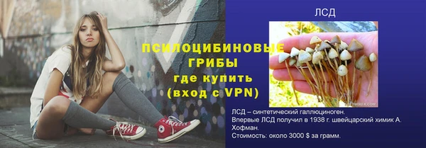 ECSTASY Няндома
